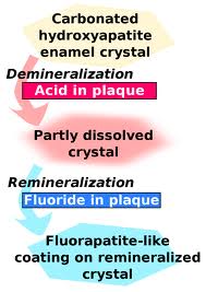fluoride mechanism of action